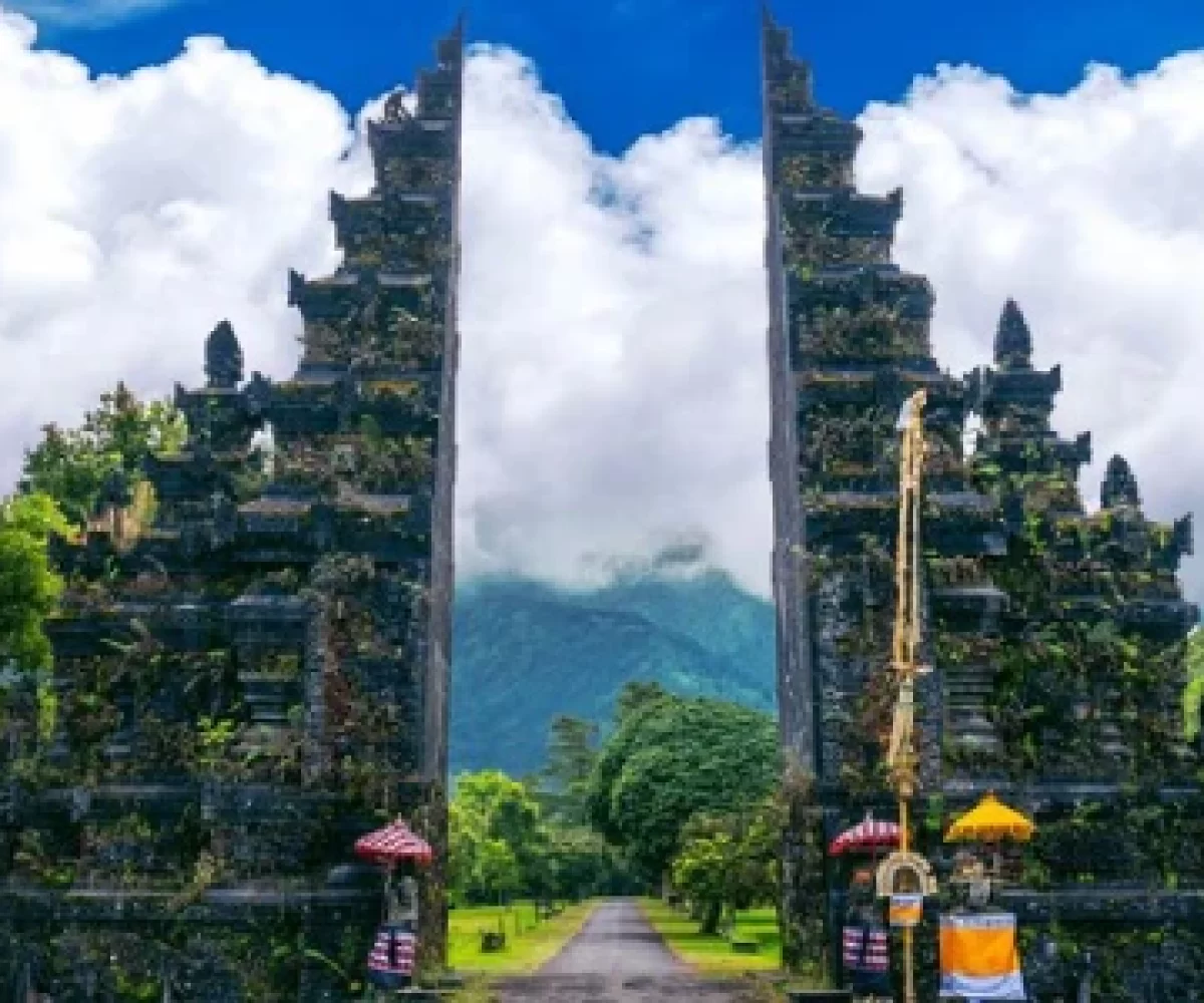 78035435