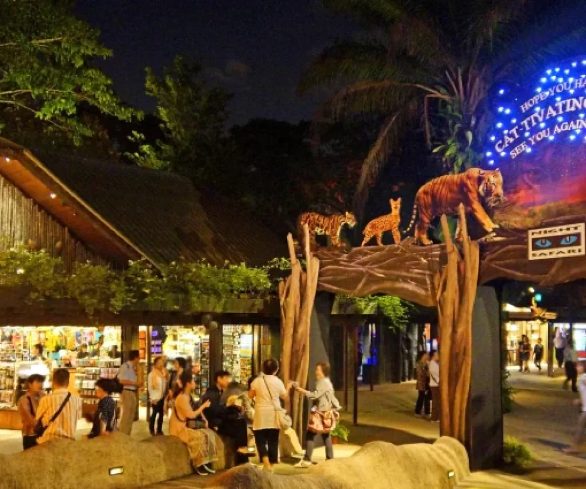night-safari