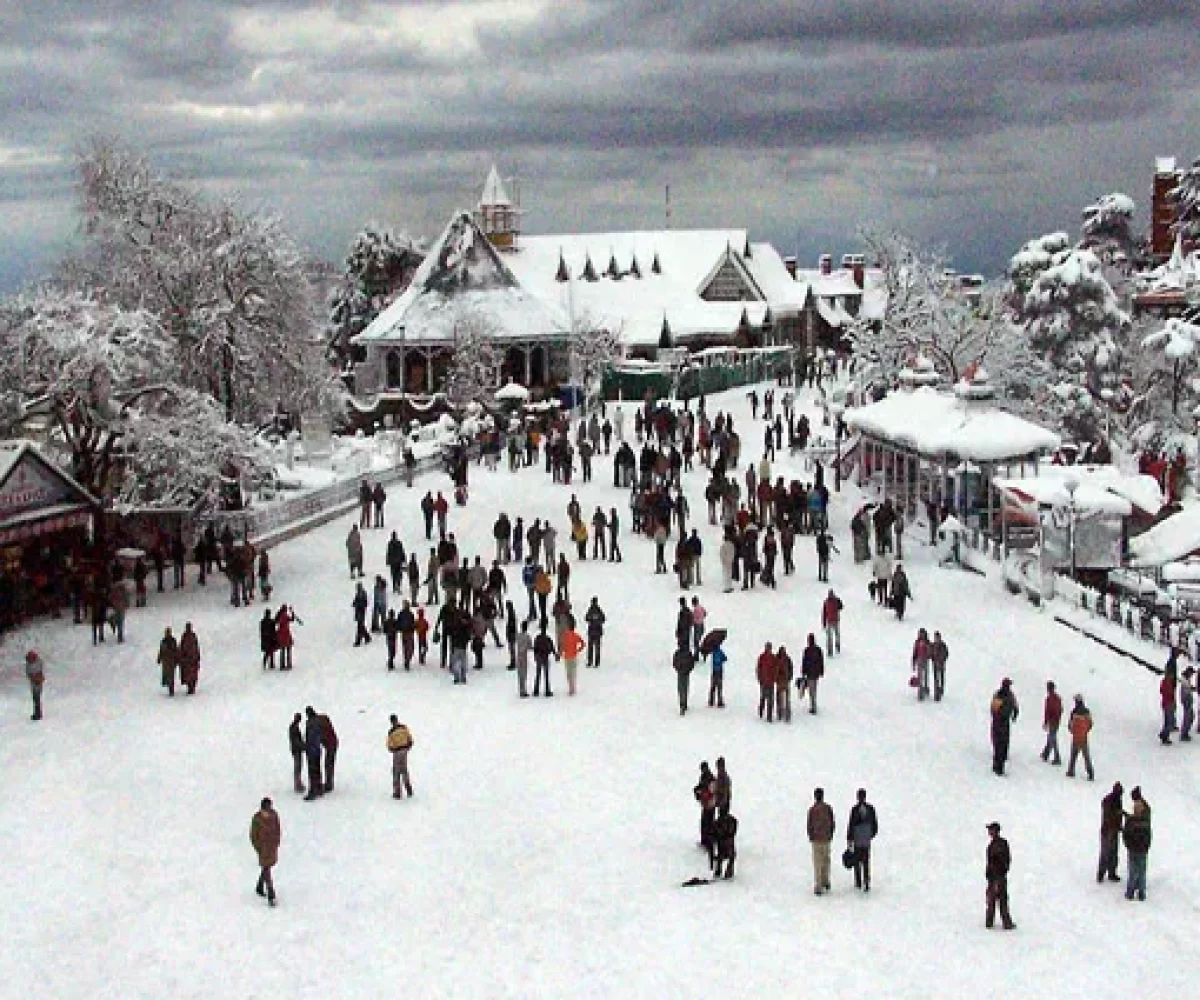 shimla